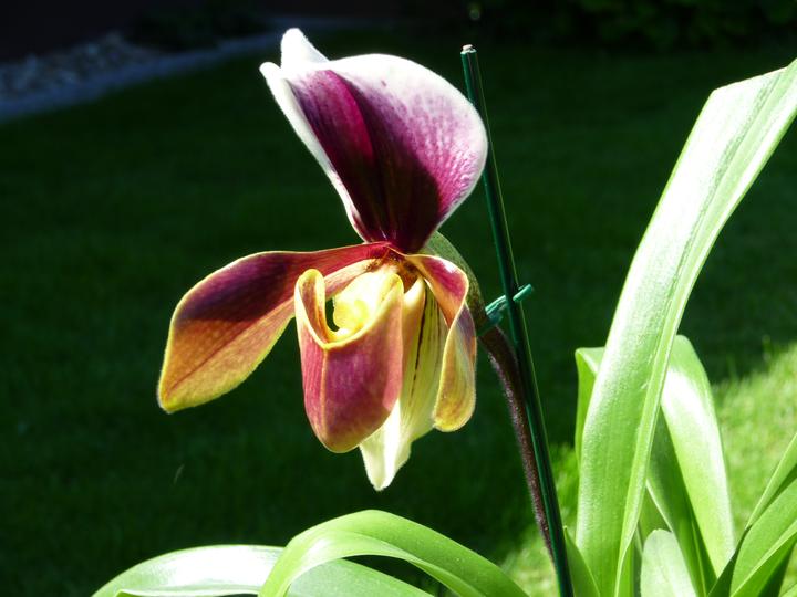 2010_0100.jpg