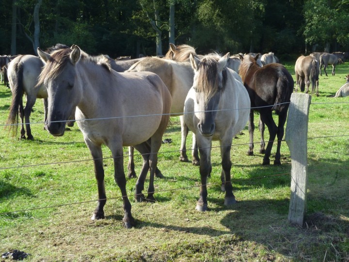 2013-09-17_11-01-07K.jpg