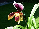 2010_0100.jpg