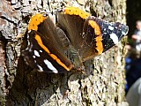 2012-06-30_10-17-07.jpg