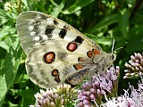 2012-07-10_15-20-39.jpg