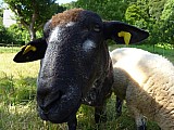2012-08-03_11-00-58.jpg