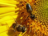 2012-08-11_11-27-01.jpg
