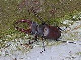 2013-06-18_15-28-29K.jpg
