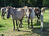 2013-09-17_11-01-07K.jpg