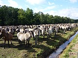 2013-09-17_11-27-45K.jpg