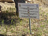 2017-05-20_09-46-52K.jpg